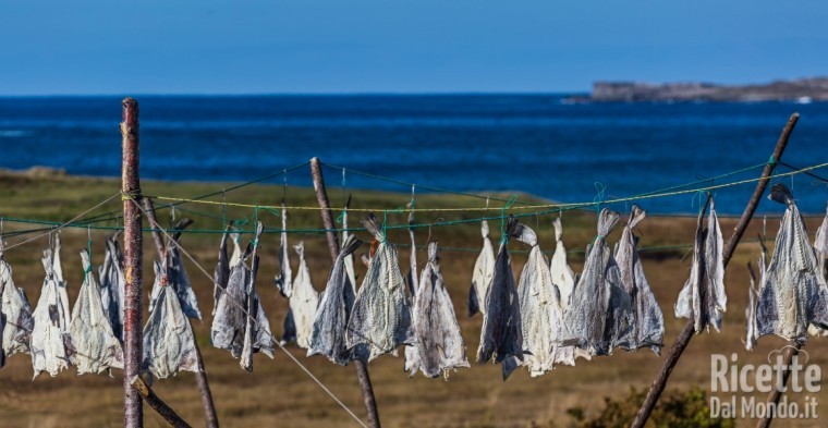 Stoccafisso e baccalà: essiccamento