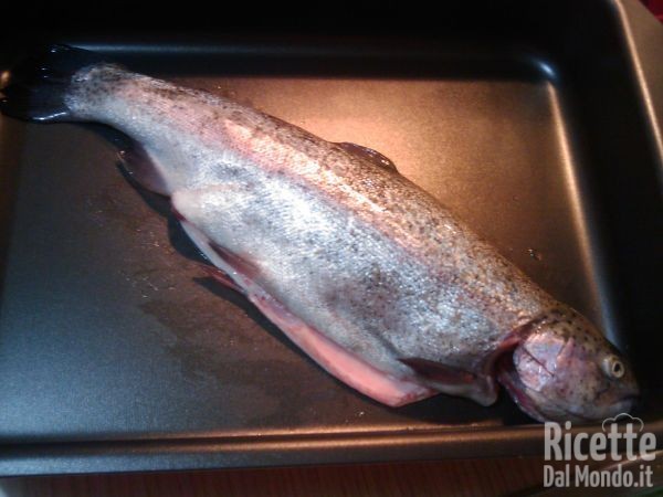Trota Salmonata all'Acqua Pazza