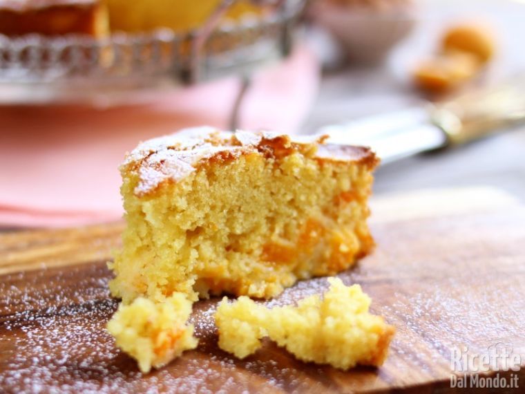Semplice torta di albicocche