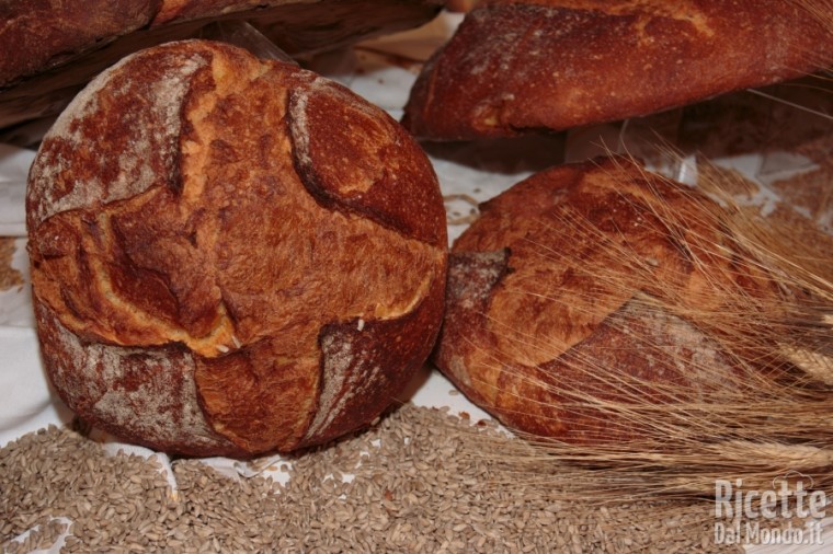10 tipi di pane: pane di Altamura