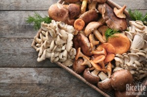 10 varietà di funghi