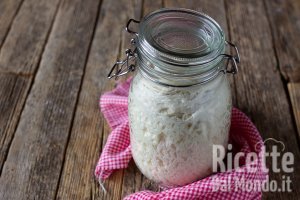 10 domande sul lievito madre: le più frequenti e comuni!