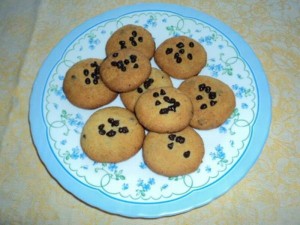 Biscottini con Farina di Kamut