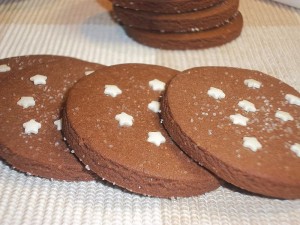 Ricetta Biscotti Pan di Stelle Bimby