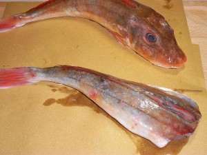 Ricetta Come pulire il coccio (o gallinella)