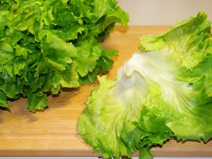 Ricetta Come pulire la Scarola