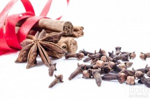 Ricetta Come usare Anice, Anice Stellato e Semi di Finocchio