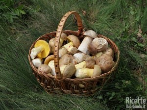 Come conservare i Funghi