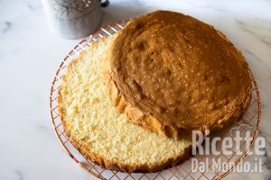 Ricetta Molly cake, la ricetta originale ideale come base per torte farcite!