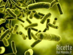 Ricetta Prevenire la Listeriosi