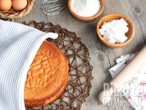 Ricetta Pan di Spagna Bimby