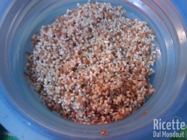 Zuppa di Orzo e Farro